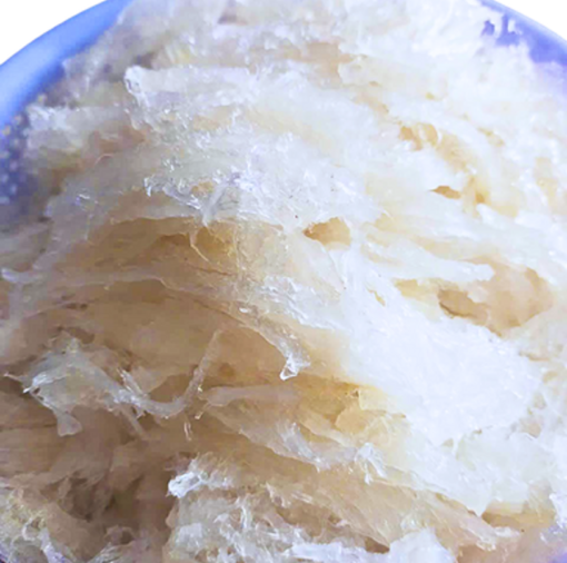 Yến tươi sợi ngắn