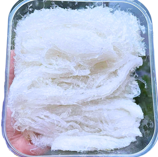 Yến tươi sợi dài